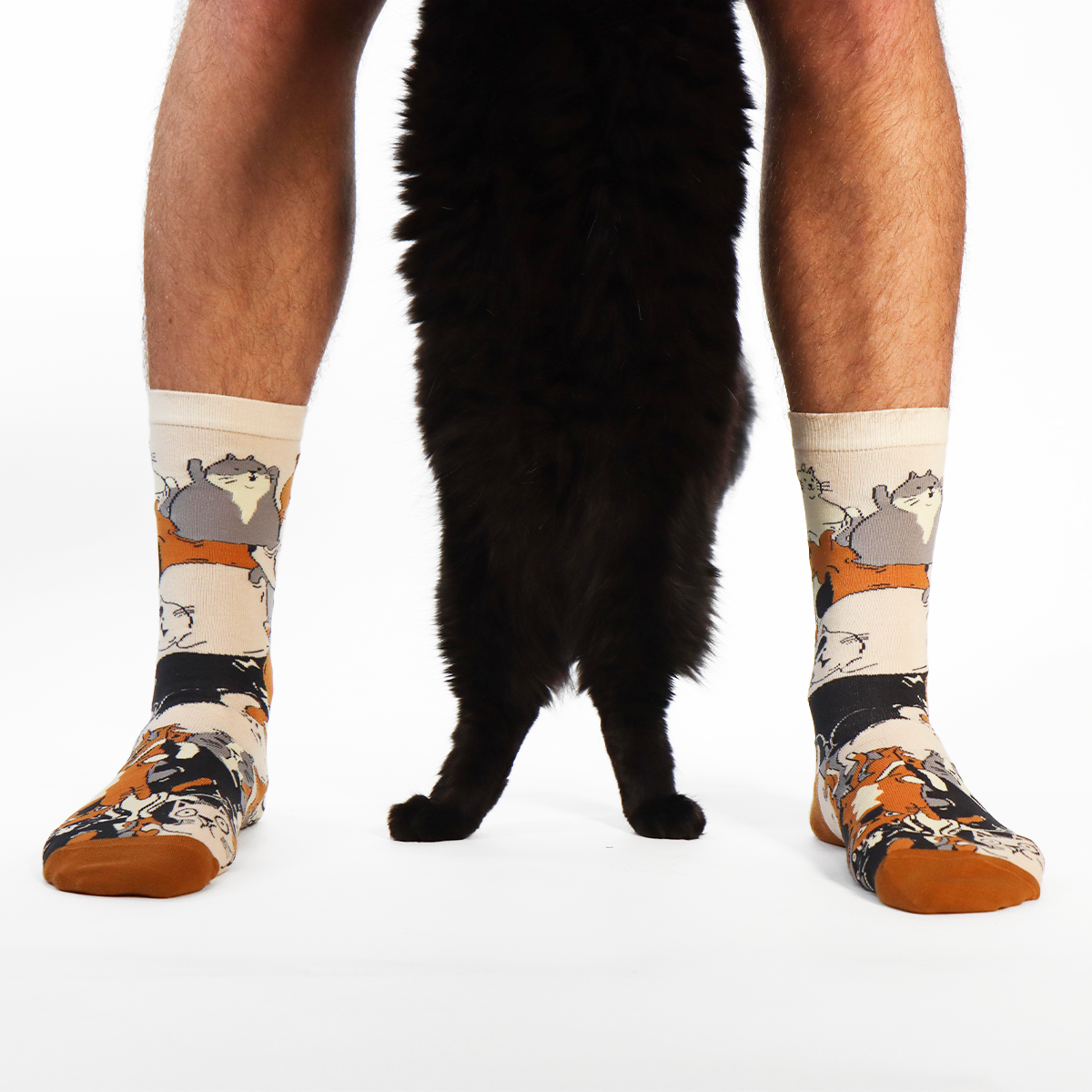 Squished Cat Socks – Cat Warehouse