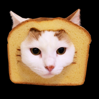 Bread Cat Hoodie