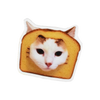 Bread Cat Sticker